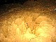 0116-twb-2003-10.jpg