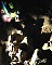 0116-twb-2003-11.jpg