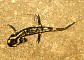 0618-jc-2008s-27.jpg