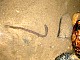 0618-jc-2008s-34.jpg